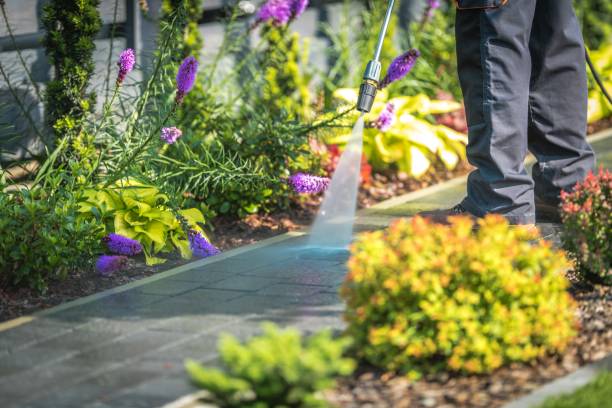 Best Soft Washing for Delicate Surfaces in Leon, IA